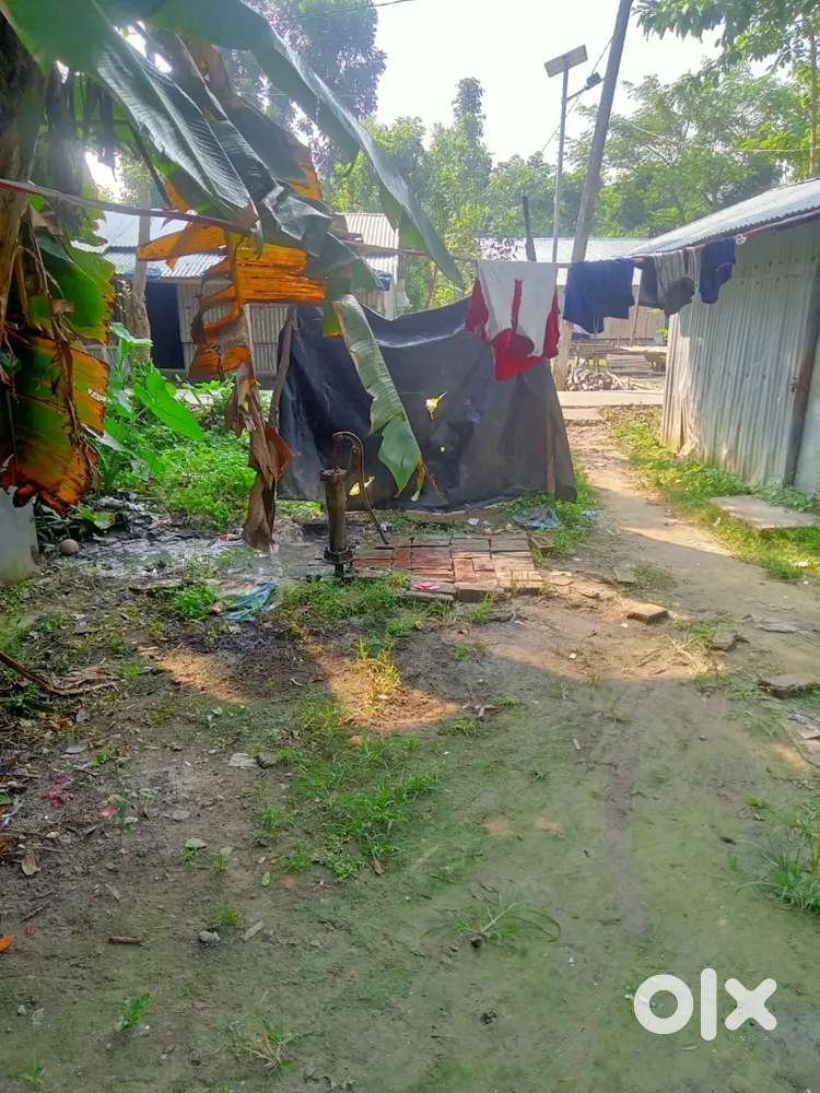 চার কাটা জায়গার উপর দুটি বড় সেপারেট ঘর করা আছে। এবং একটি টিনের করা