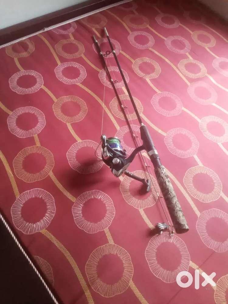 Fishing  reel and rod