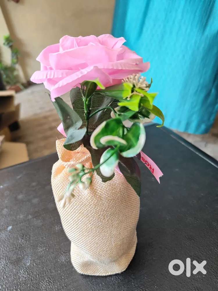 1)Rosepetals jutebag Rose 2)Pot  Rose 3)Air fresheners 4)Reed Diffuser