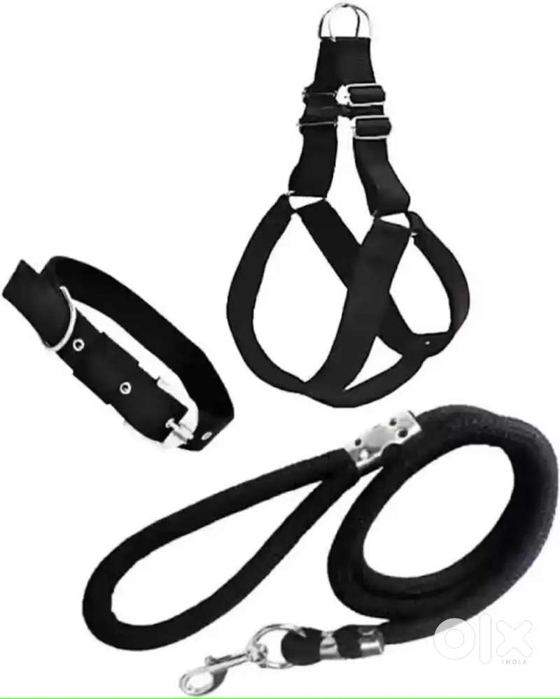 Rope for dog