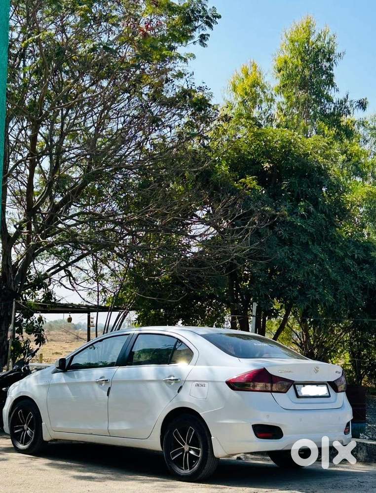 Maruti Suzuki Ciaz 2017 Diesel Well Maintained 1 St Owner