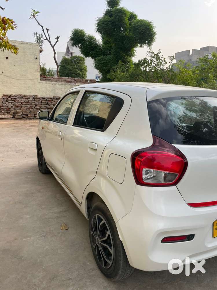 Maruti Suzuki Celerio Vxi Cng 2023