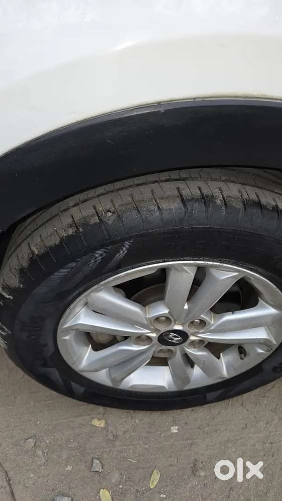 Fresh Condition