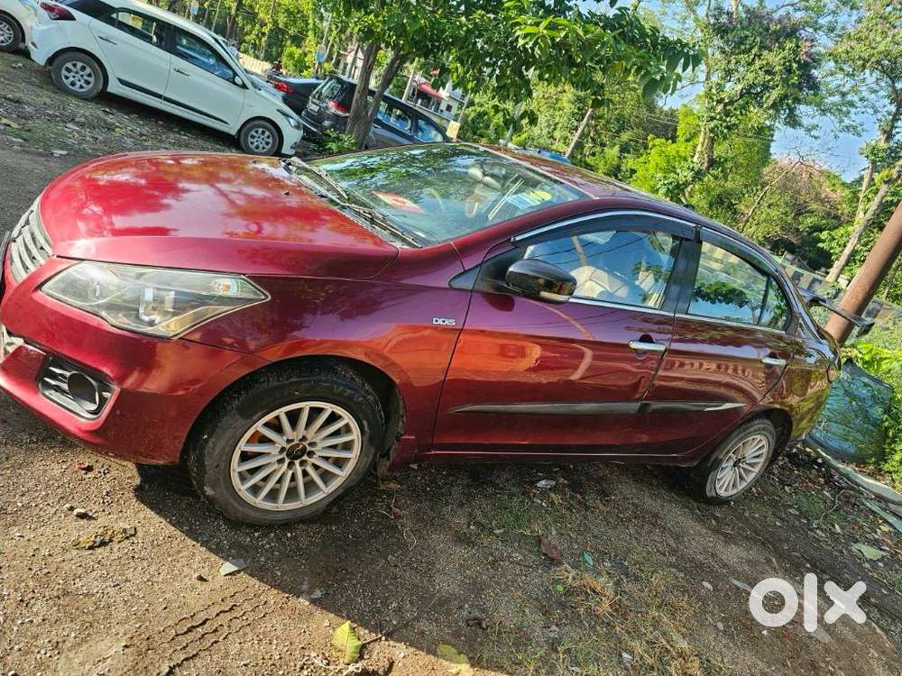 Maruti Suzuki Ciaz 2014-2017 Vdi Plus Shvs, 2015, Diesel