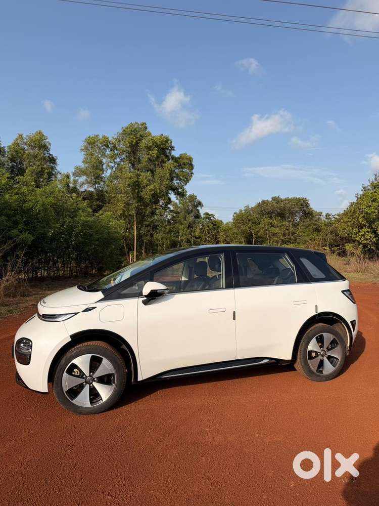 Mg Windsor Ev 2025