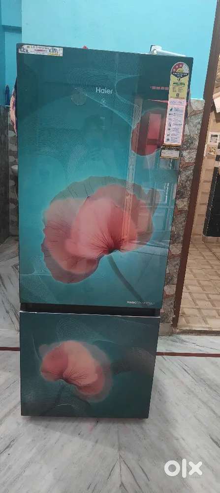 Fridge of haier company