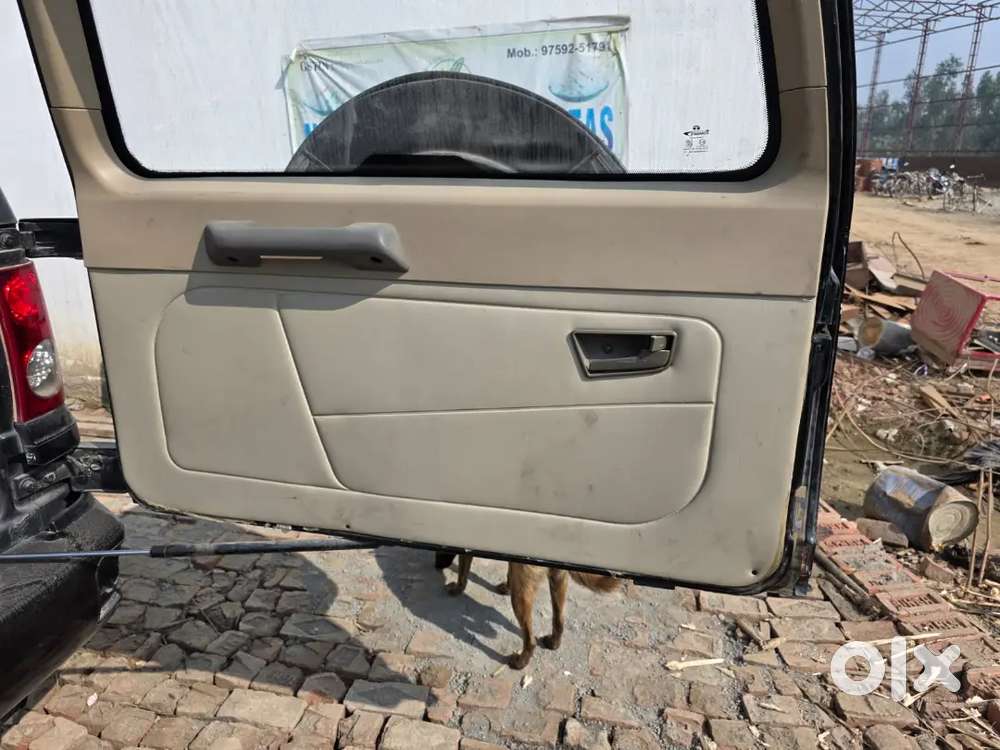 Tata Safari 13 Year Old