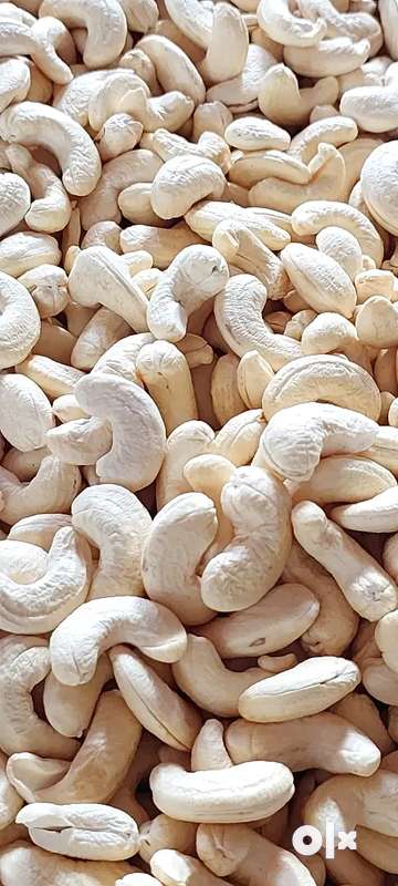 Cashew nut shop suppliers in konkan