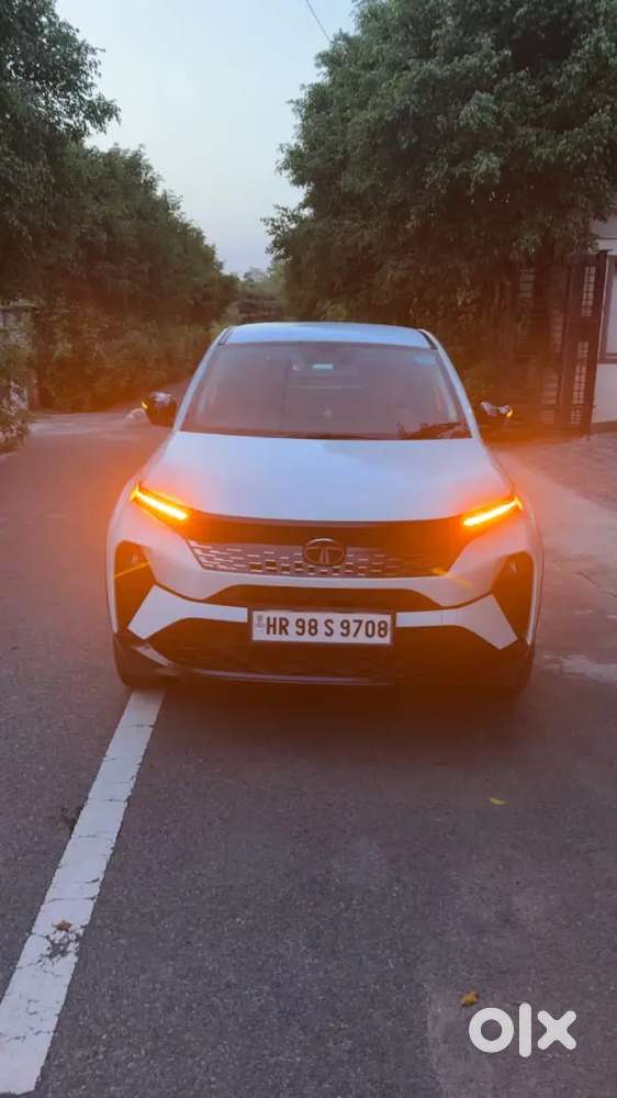 Tata Curvv Plus Petrol 2024