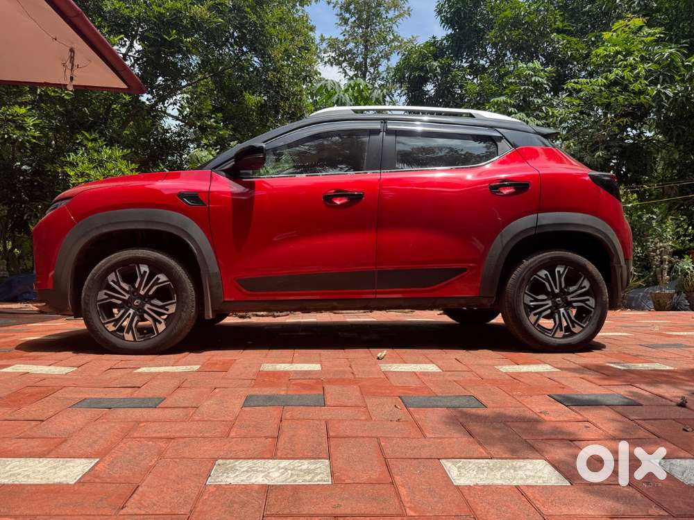 One Year Old Kiger For Sale