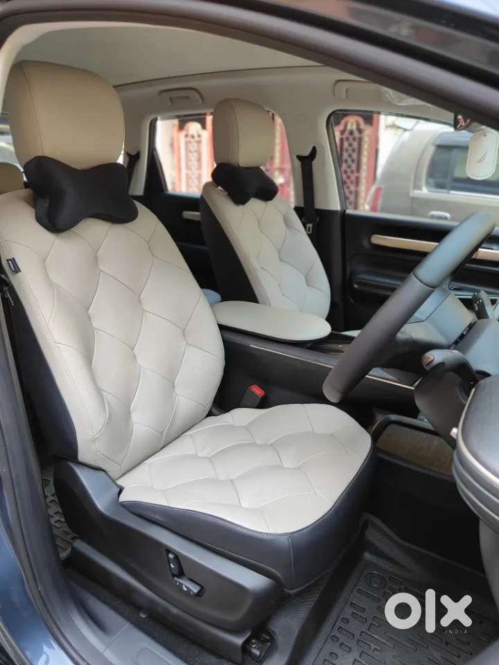 Mg Windsor Ev, 2026, Electric