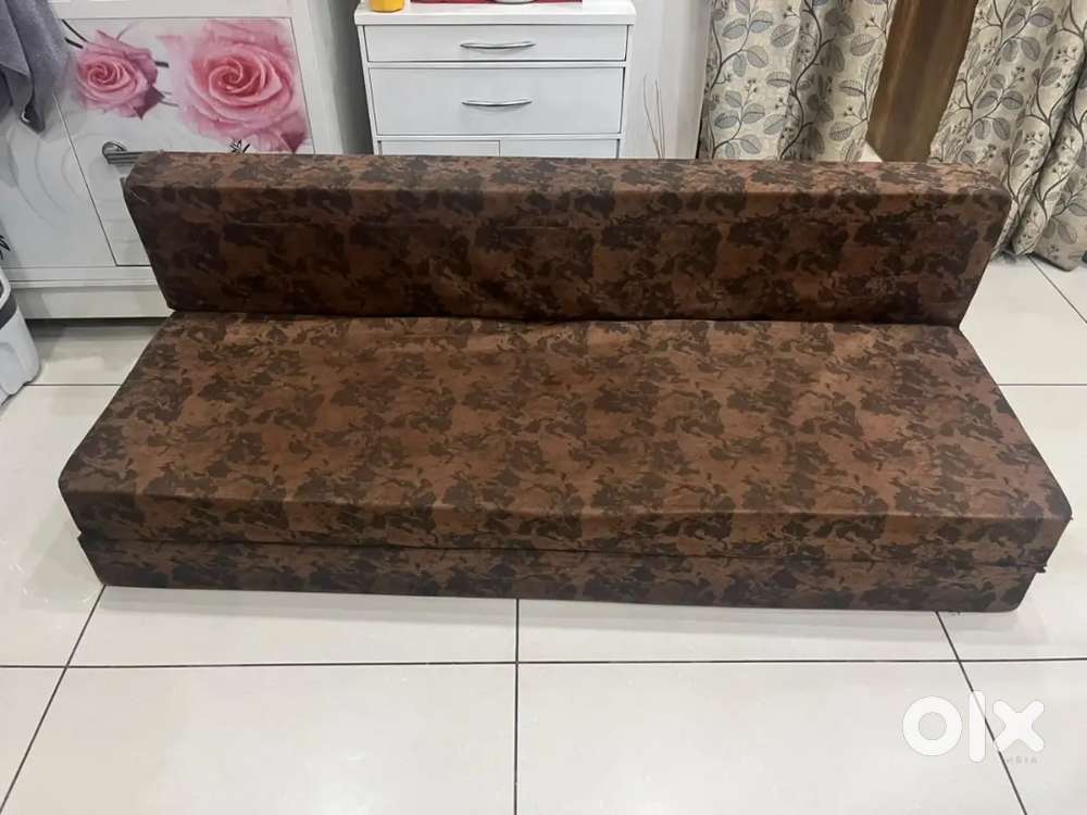 Sofa cum bed