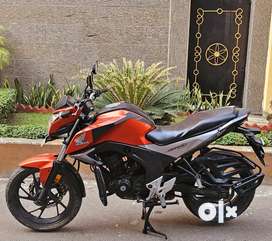 Olx store hornet bike