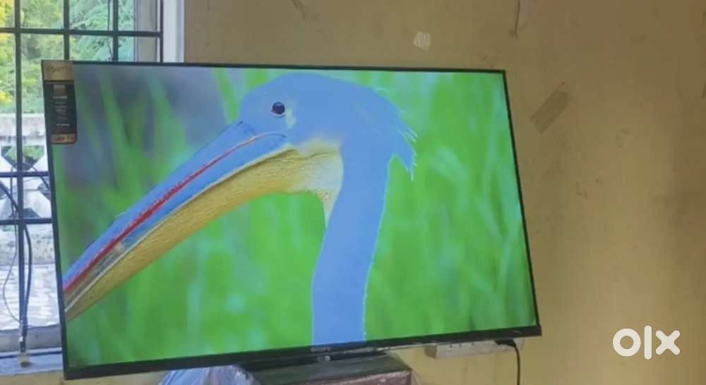 40 inch sony smart Android frameless oled price 10999