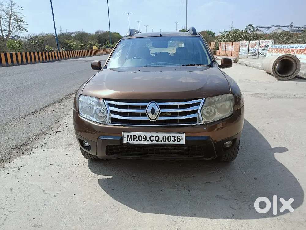 2015 Model Good Candisan
