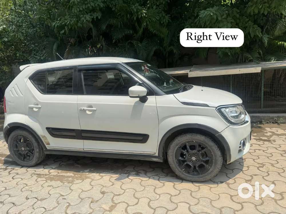 Maruti Suzuki Alpha Amt Top Model