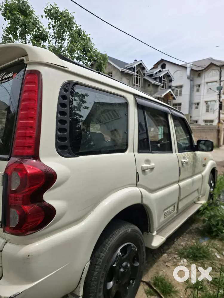 Scorpio Mhawk Talking Kashmiri Owner