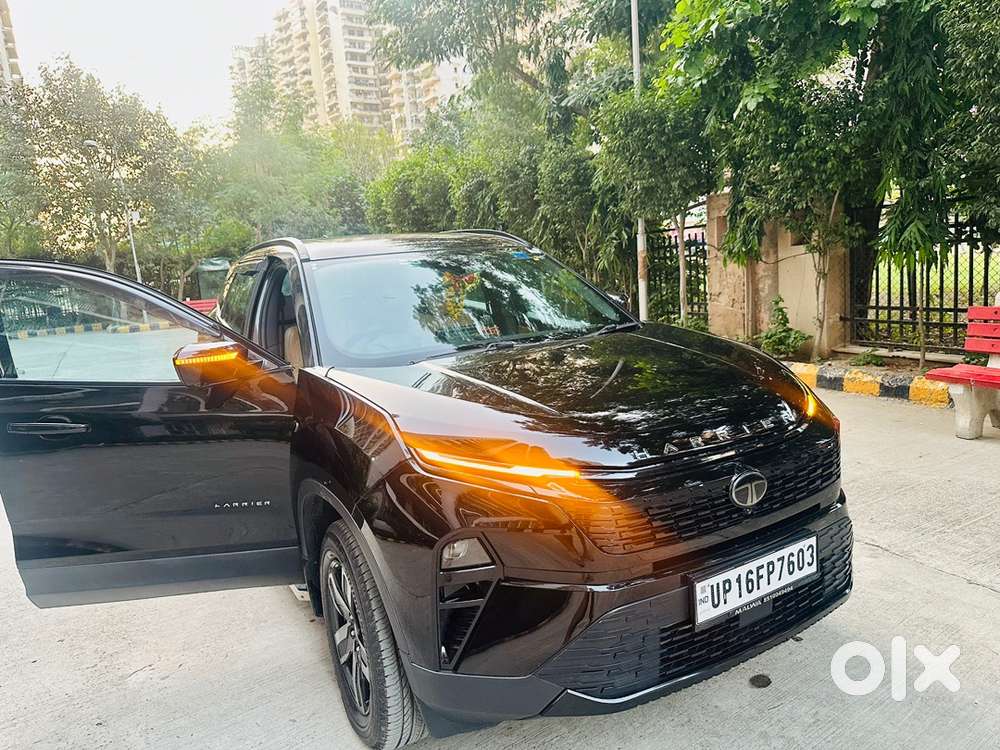 Tata Harrier 4 Months Old Purex Dark Addition At 2026 Petrol