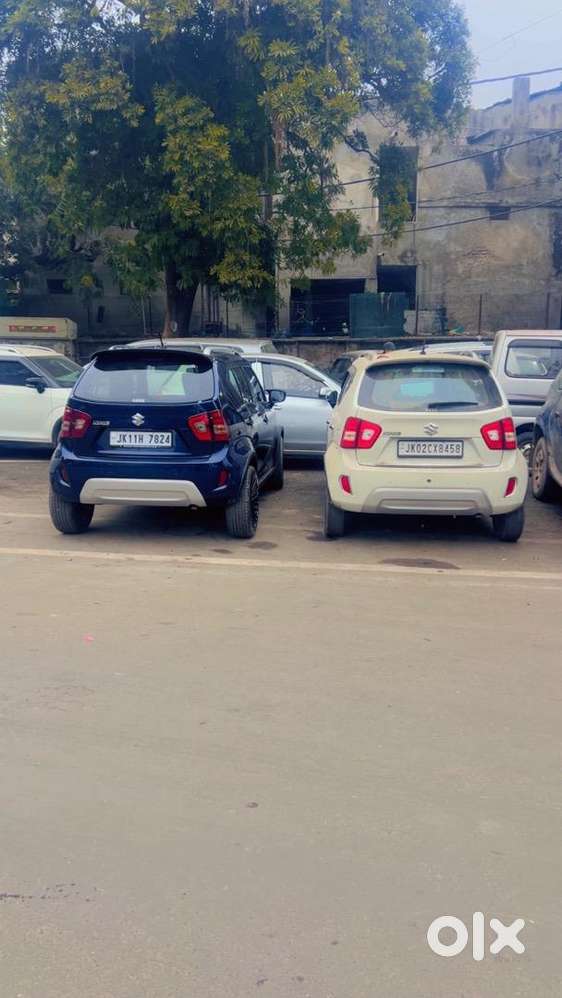 Maruti Suzuki Ignis 2025 Petrol Well Maintained