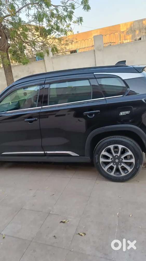Maruti Suzuki Grand Vitara 2023 Petrol Well Maintained