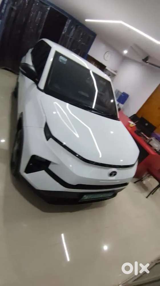 Tata Punch Ev 2025