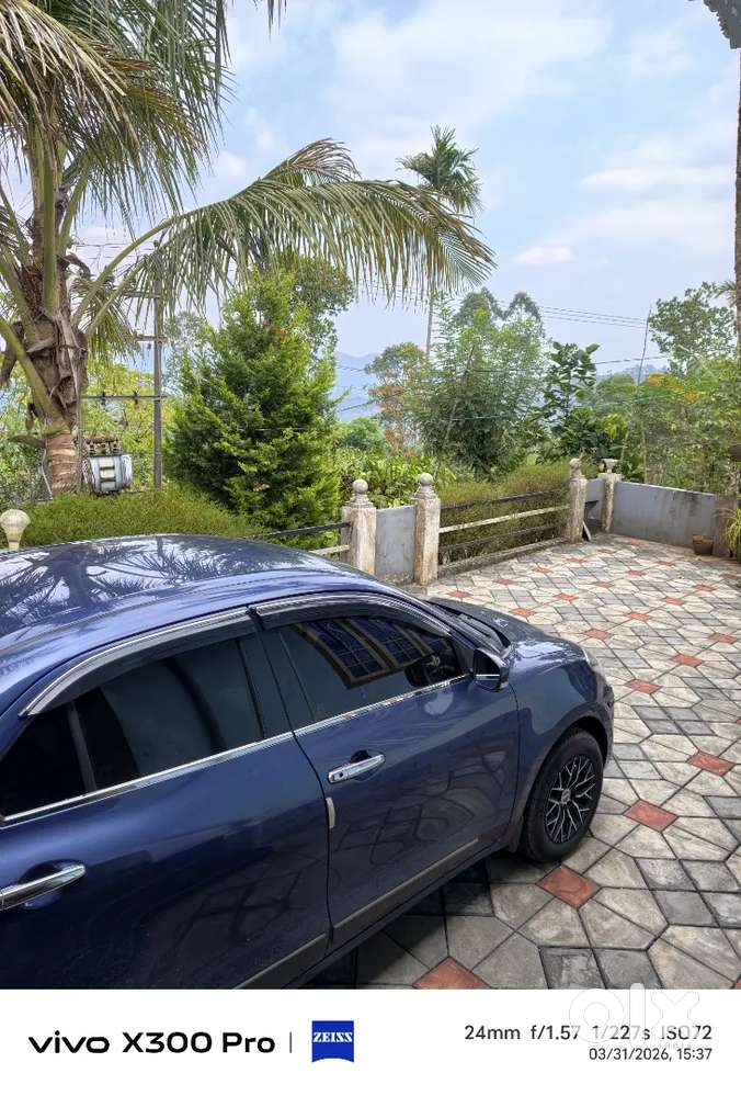 Good Looking Car