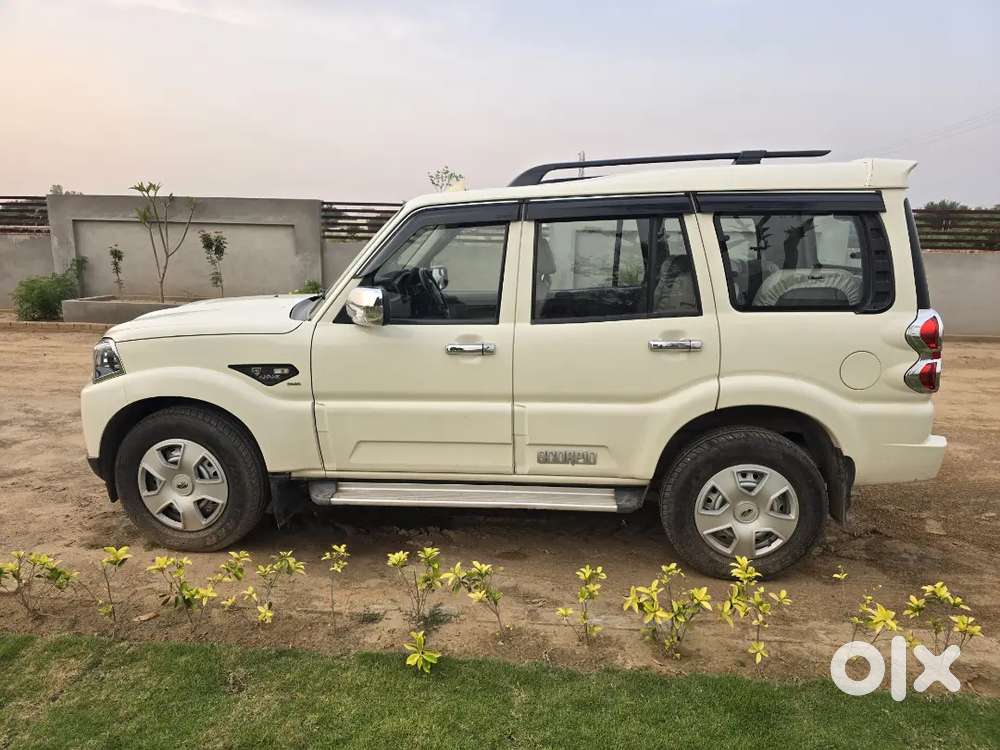 S5,2021 Modal,all Original