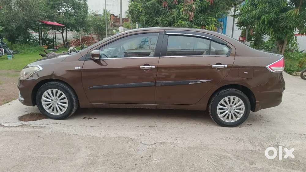 Maruti Suzuki Ciaz 2019 Diesel