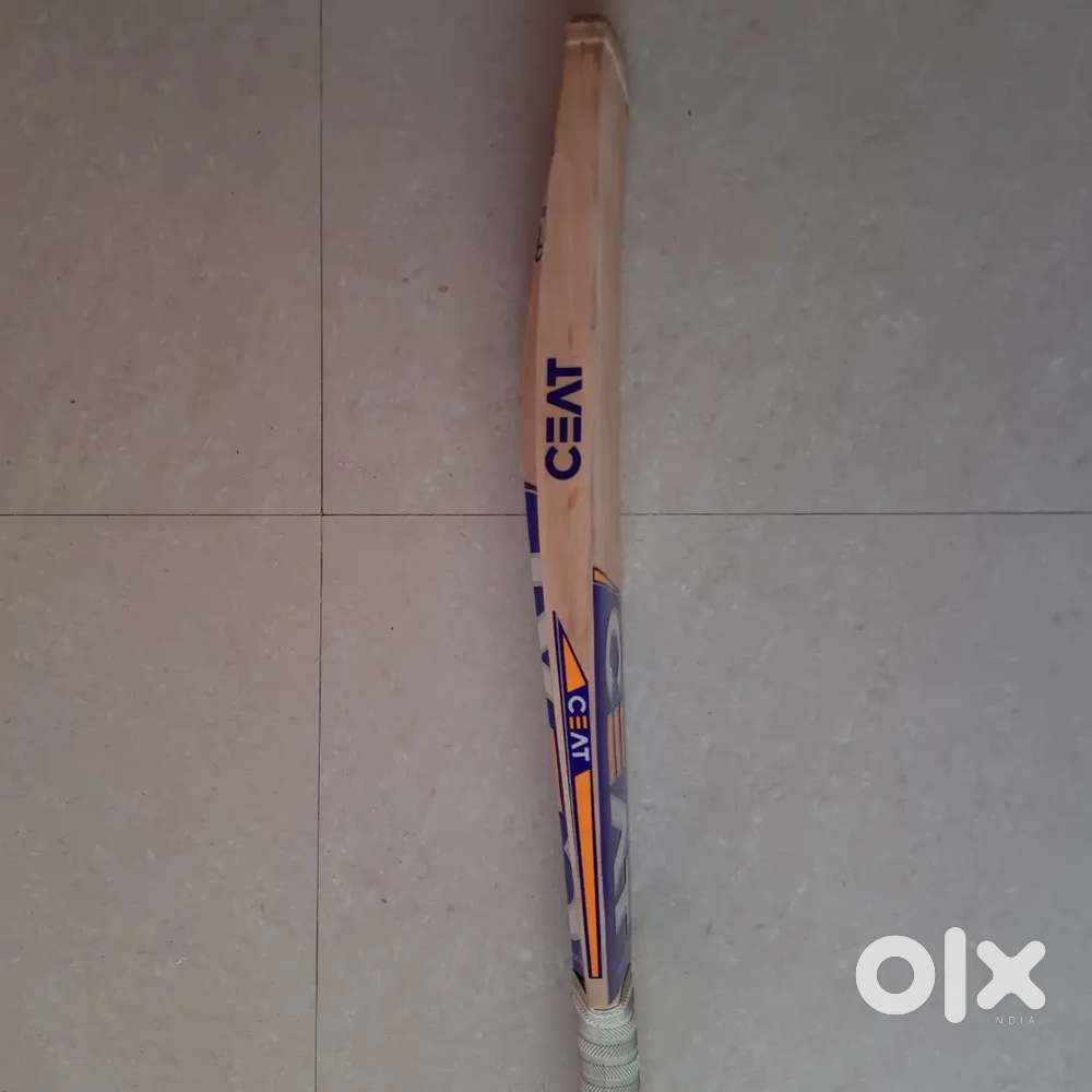 English Willow Cricket Bat Sports Equipment 1745487024