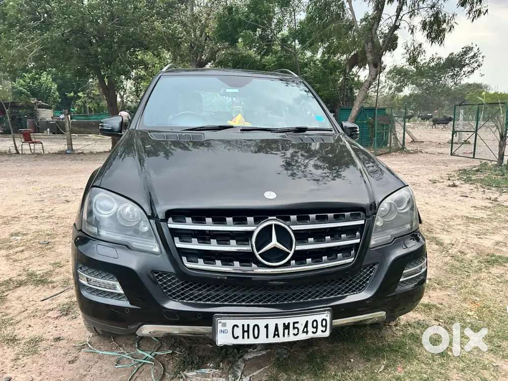 Mercedes Benz Top Model