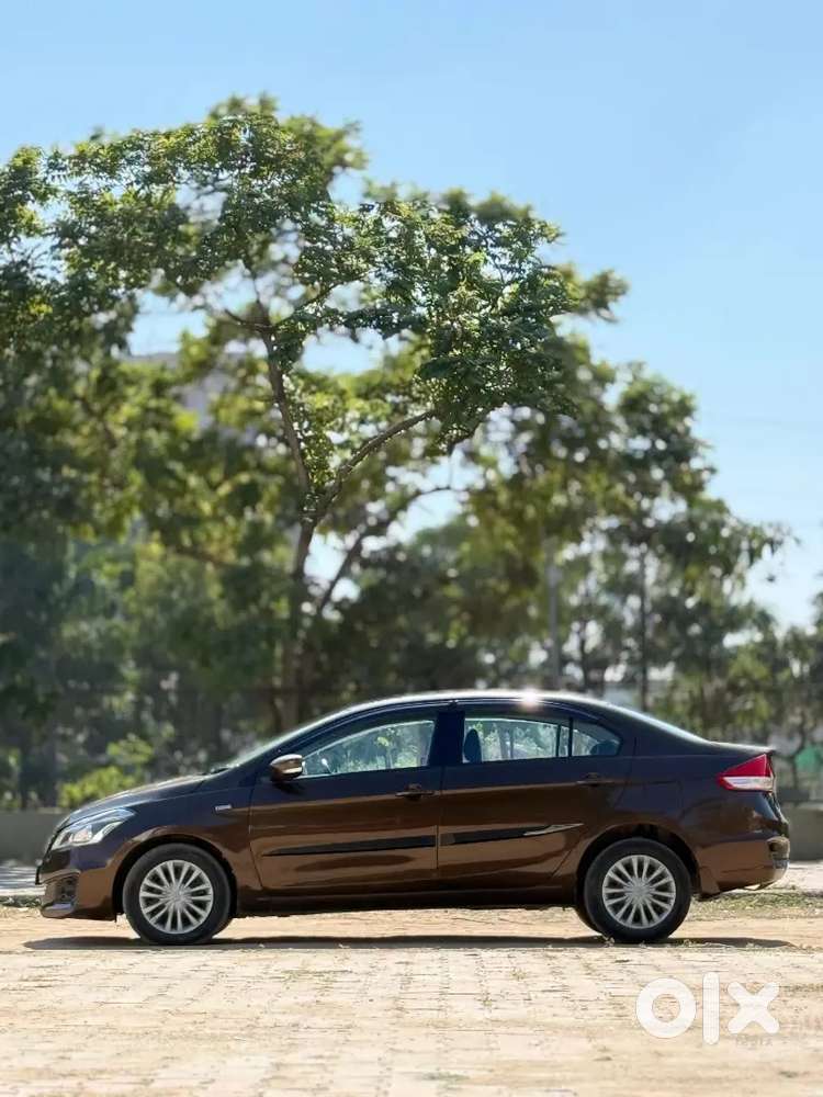 Maruti Suzuki Ciaz 2016