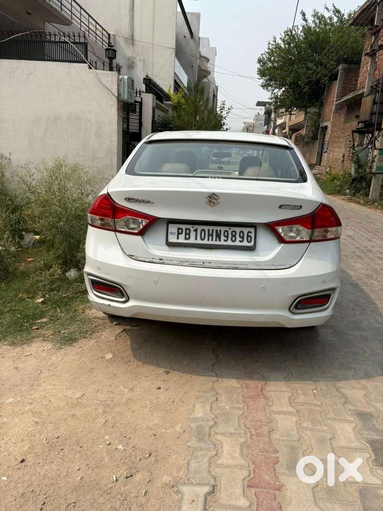 Maruti Suzuki Car 2021