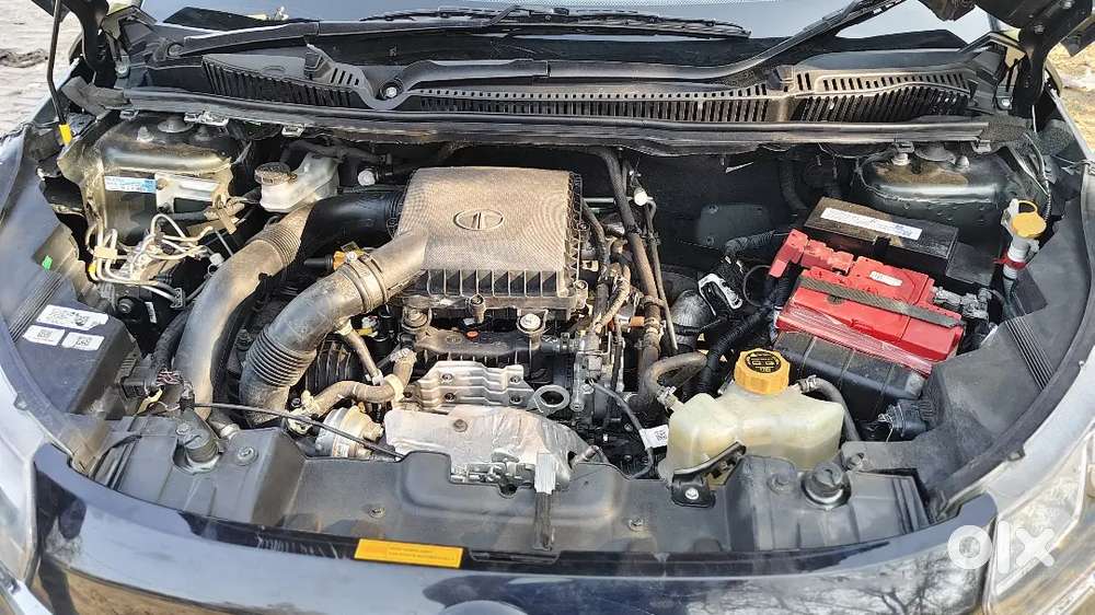 Tata Nexon 2022 Petrol 20000 Km Driven