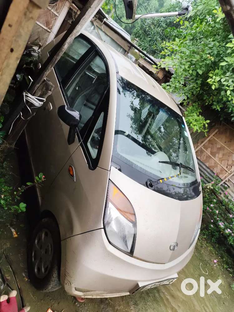 Tata Nano 2010