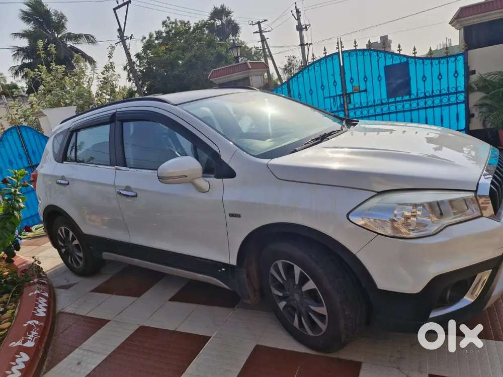 Well Maintained Veterinary Doctor Car