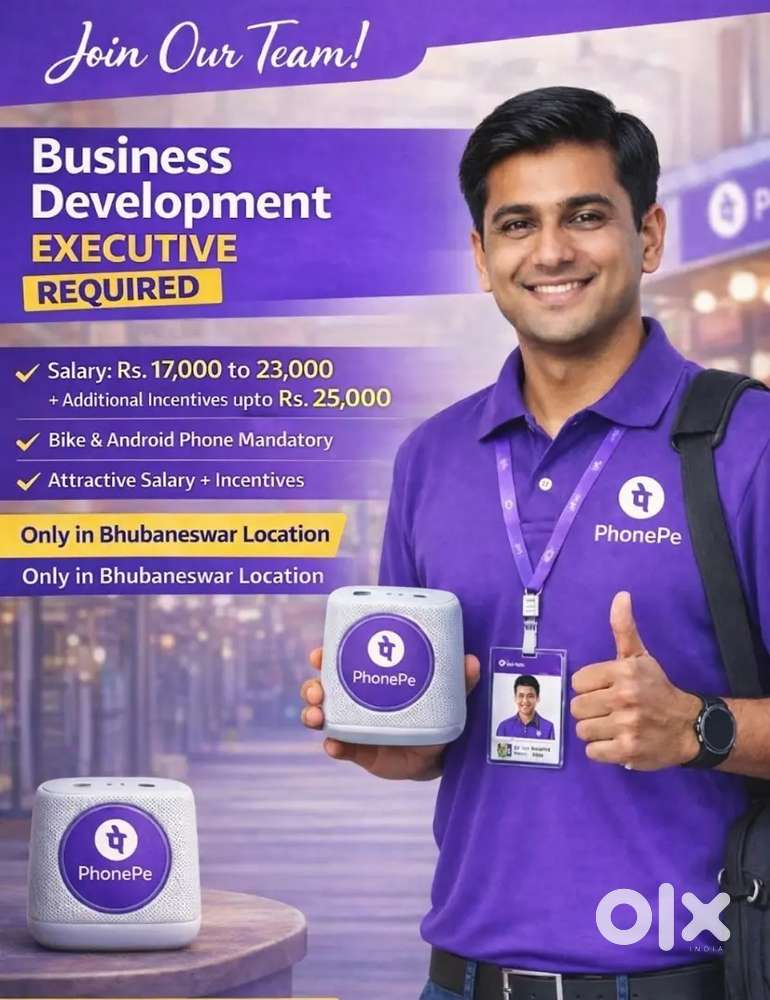 PhonePe Business Development Executive