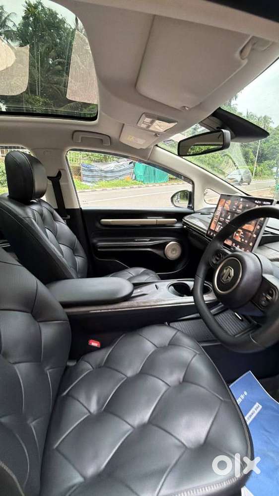 Mg Windsor Ev Essence, 2025, Electric