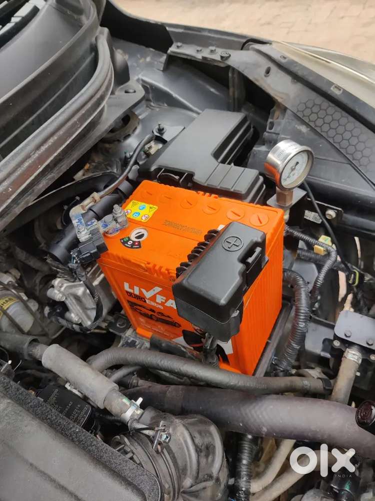 Hyundai Grand I10 Nios 2021 Cng & Hybrids 52000 Km Driven