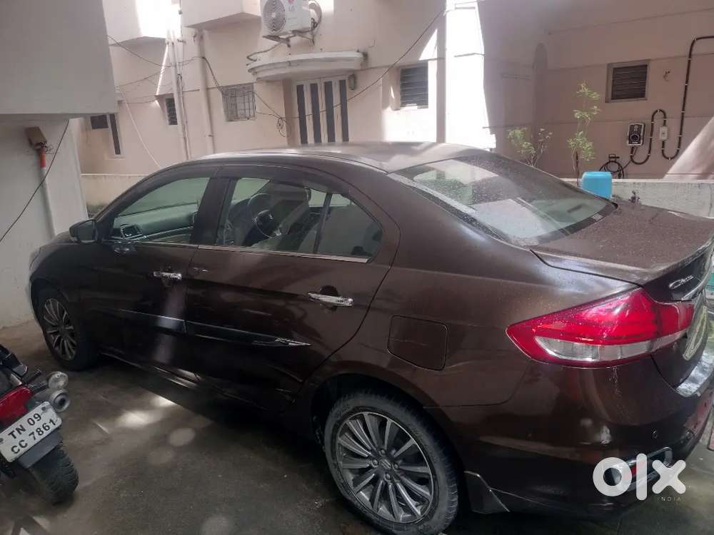 Topend Hybrid Automatic Petrol Ciaz