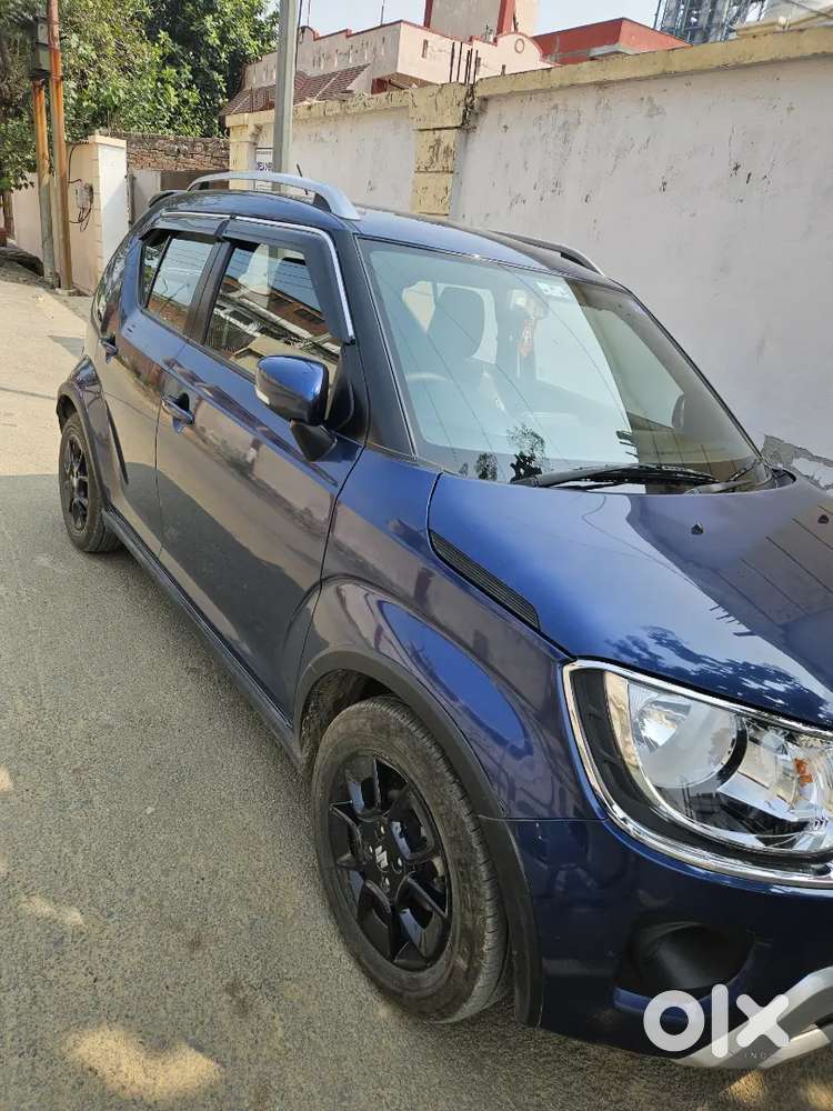 Maruti Suzuki Ignis 2022 Petrol 16600 Km Driven