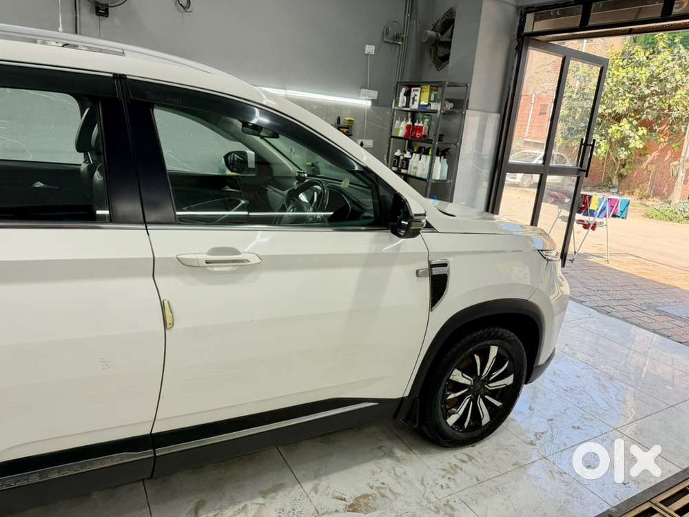 Mg Hector Petrol At 2019
