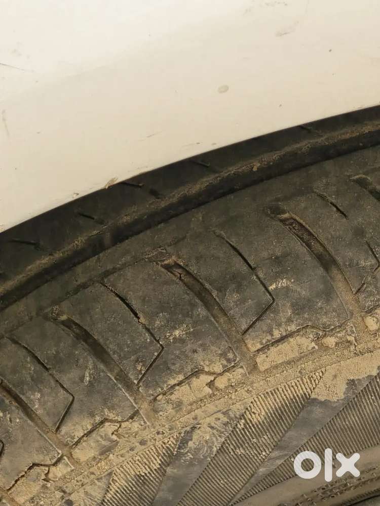 Urgent Sale Koi Kami Nhi H