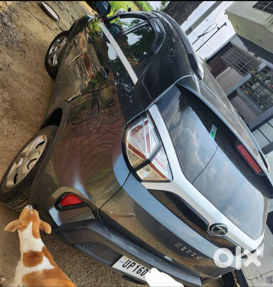Tata Nexon Hai Up16