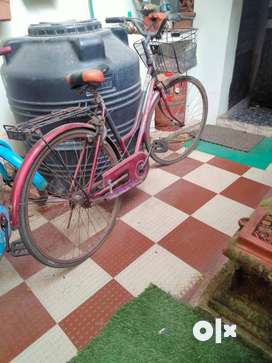 Bicycles for sale in Kochi Second Hand Cycles in Kochi OLX