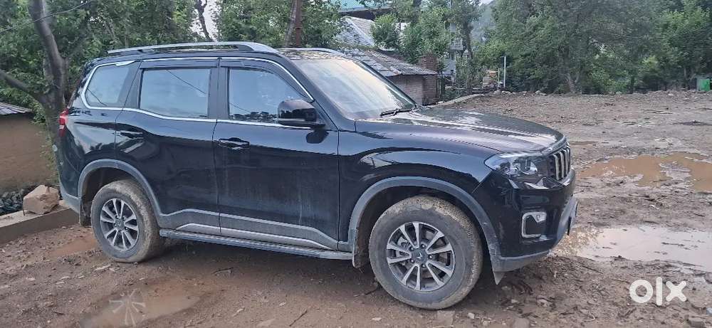 November 2025 Vehicle With Vip No.only 7 Month Old Vehicle