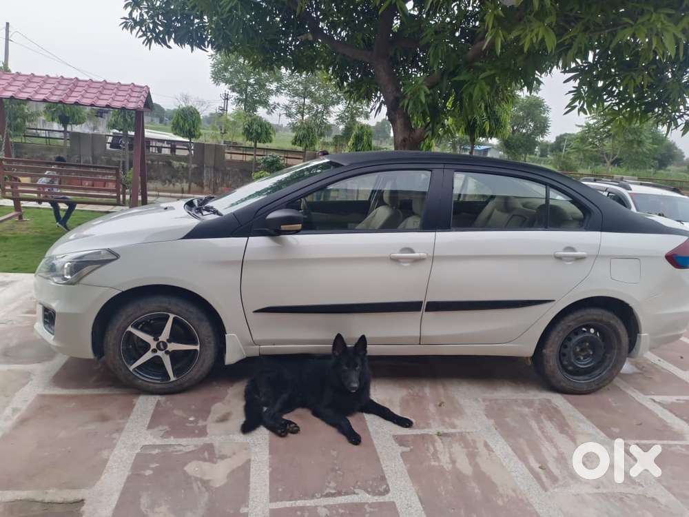 Maruti Suzuki Ciaz Smart Hybrid Sigma , 2018, Diesel