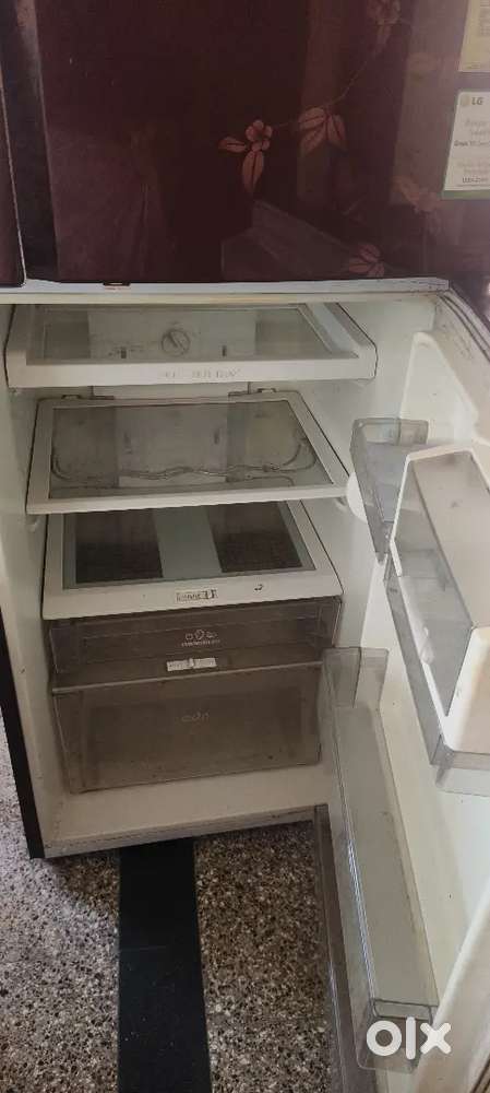 2 door fridge