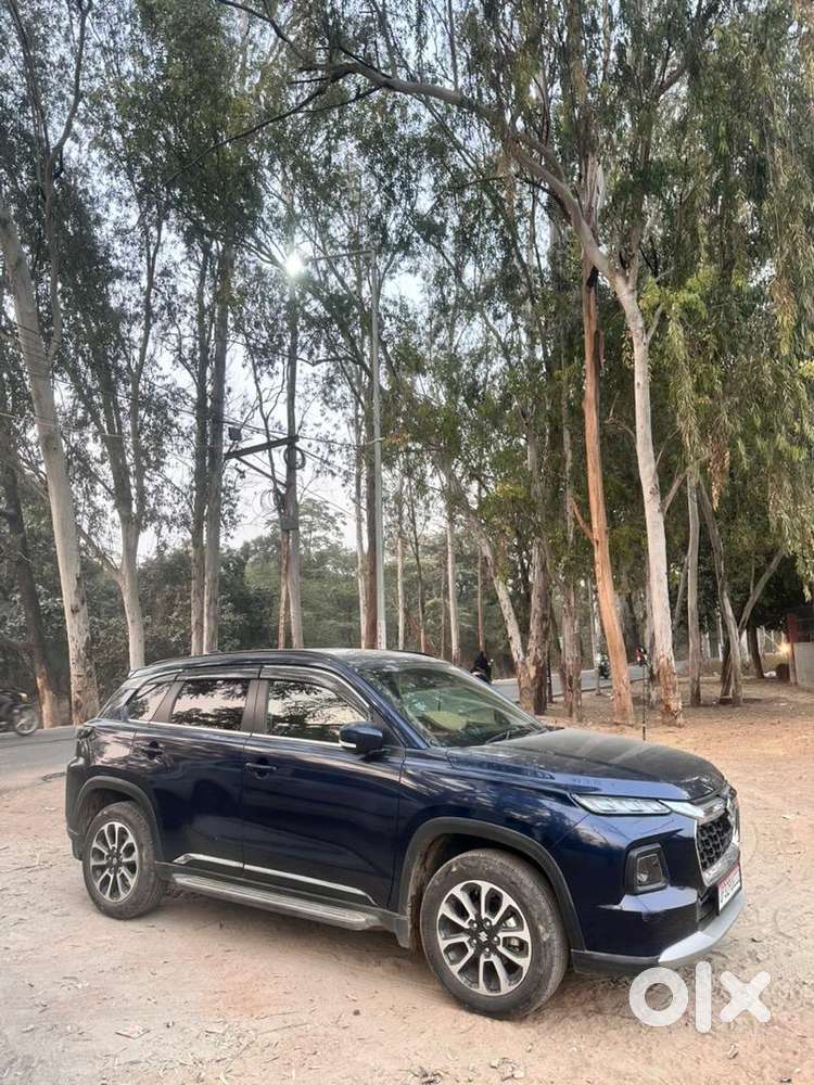 Maruti Suzuki Grand Vitara 2024 Petrol Well Maintained