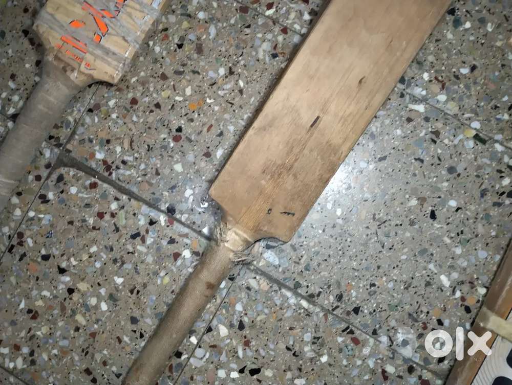 Professional and causal cricket bat.