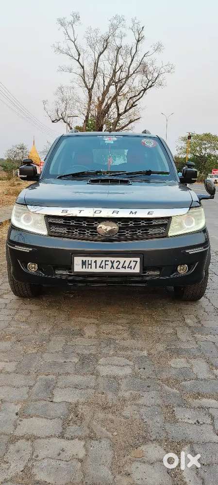 Family Cartata Safari
